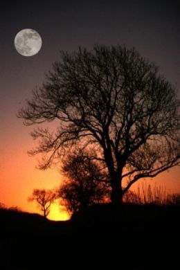 moon sun